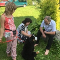 Animatoru atpūtas pēcpusdiena - 7 / 11