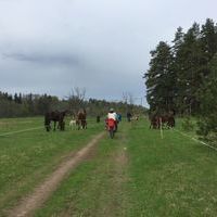 Laulāto tikšanās velobrauciens - 3 / 10