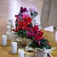 Padziļinātās rekolekcijas ar uzsvaru uz temperamentiem Naukšēnos 2019. gada janvārī - 8 / 10