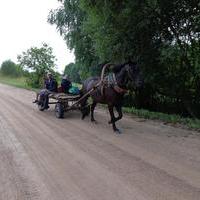 Svētceļojums Šķeltova - Aglona, 2015 - 9 / 43