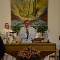 LT 14. kongress - 14 / 40